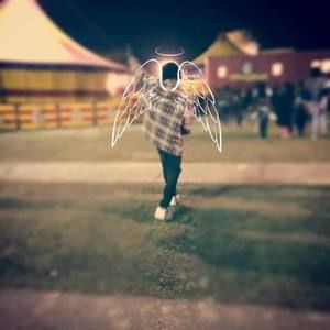 Meet your Posher, Tray